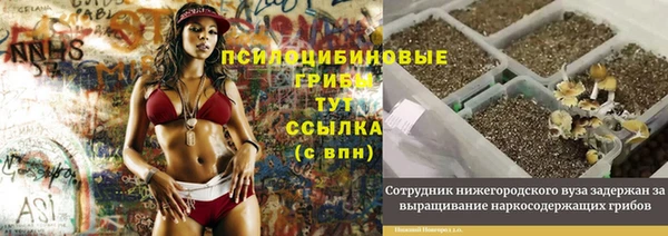 МДПВ Верея
