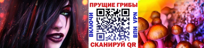Псилоцибиновые грибы Psilocybe  OMG рабочий сайт  Ворсма 
